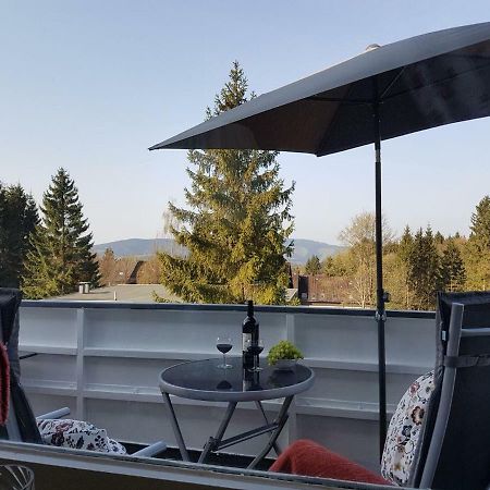 Weitblick Apartamento Sankt Andreasberg Exterior foto