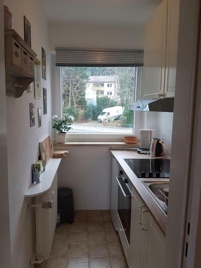 Weitblick Apartamento Sankt Andreasberg Exterior foto